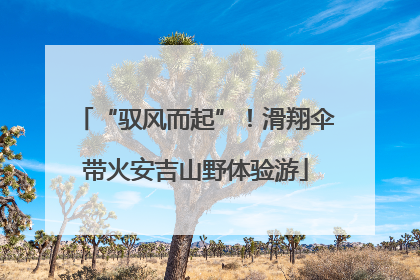“驭风而起”！滑翔伞带火安吉山野体验游
