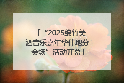 “2025绵竹美酒音乐嘉年华什地分会场”活动开幕