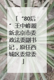 “80后”王中峰履新北京市委政法委副书记，原任西城区委常委