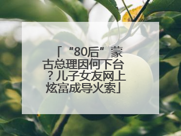 “80后”蒙古总理因何下台？儿子女友网上炫富成导火索
