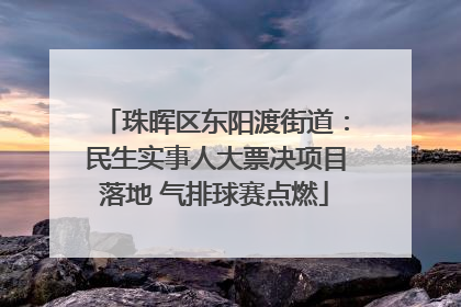 珠晖区东阳渡街道：民生实事人大票决项目落地 气排球赛点燃