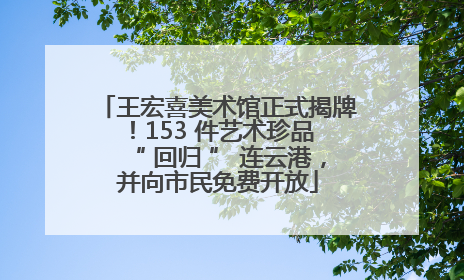 王宏喜美术馆正式揭牌！153 件艺术珍品 “ 回归 ” 连云港，并向市民免费开放
