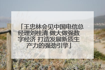 王忠林会见中国电信总经理刘桂清 做大做强数字经济 打造发展新质生产力的强劲引擎