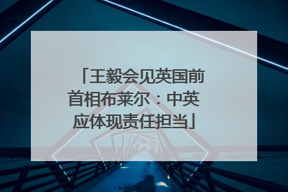 王毅会见英国前首相布莱尔：中英应体现责任担当
