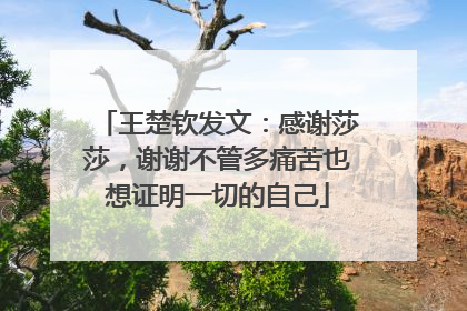 王楚钦发文：感谢莎莎，谢谢不管多痛苦也想证明一切的自己