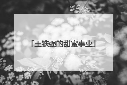 王铁强的甜蜜事业