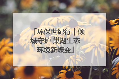 环保世纪行｜倾城守护 巢湖生态环境新蝶变