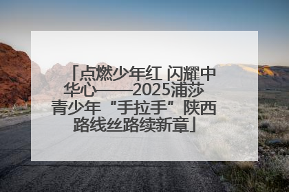 点燃少年红 闪耀中华心——2025浦莎青少年“手拉手”陕西路线丝路续新章