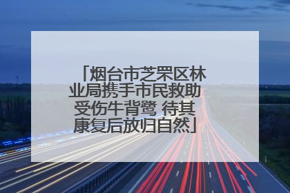 烟台市芝罘区林业局携手市民救助受伤牛背鹭 待其康复后放归自然