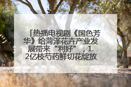 热播电视剧《国色芳华》给菏泽花卉产业发展带来“利好”，1.2亿枝芍药鲜切花绽放“国色芳华”