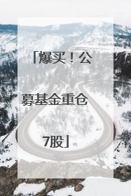 爆买！公募基金重仓7股