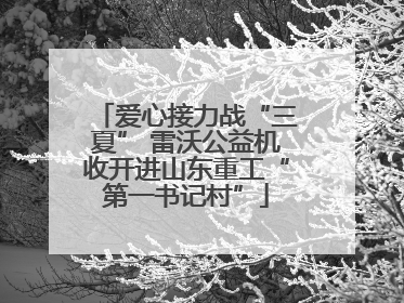 爱心接力战“三夏” 雷沃公益机收开进山东重工“第一书记村”