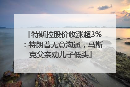 特斯拉股价收涨超3%：特朗普无意沟通，马斯克父亲劝儿子低头