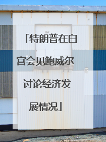 特朗普在白宫会见鲍威尔 讨论经济发展情况