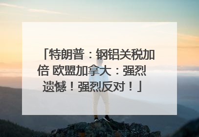 特朗普：钢铝关税加倍 欧盟加拿大：强烈遗憾！强烈反对！