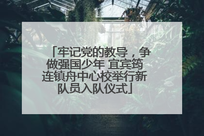 牢记党的教导，争做强国少年 宜宾筠连镇舟中心校举行新队员入队仪式