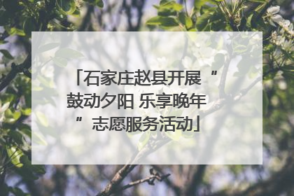 石家庄赵县开展“鼓动夕阳 乐享晚年”志愿服务活动