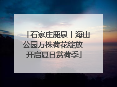 石家庄鹿泉丨海山公园万株荷花绽放 开启夏日赏荷季