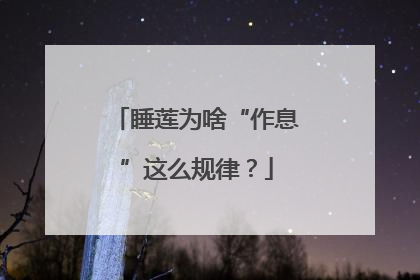 睡莲为啥“作息”这么规律？