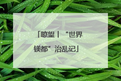 瞭望丨“世界镁都”治乱记