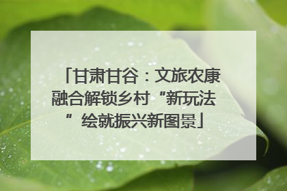 甘肃甘谷：文旅农康融合解锁乡村“新玩法”绘就振兴新图景