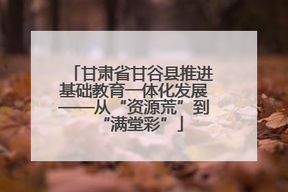 甘肃省甘谷县推进基础教育一体化发展——从“资源荒”到“满堂彩”