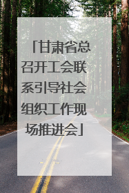 甘肃省总召开工会联系引导社会组织工作现场推进会