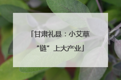 甘肃礼县：小艾草“链”上大产业