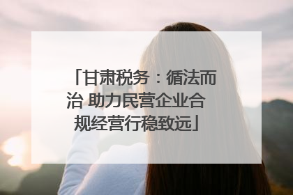 甘肃税务：循法而治 助力民营企业合规经营行稳致远