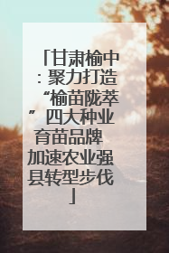 甘肃榆中：聚力打造“榆苗陇萃”四大种业育苗品牌 加速农业强县转型步伐