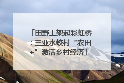 田野上架起彩虹桥：三亚水蛟村“农田+”激活乡村经济