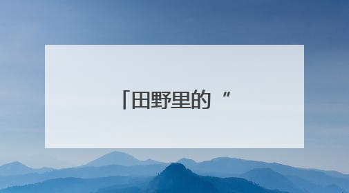田野里的“精算师”