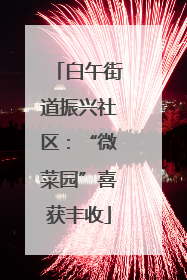 白午街道振兴社区：“微菜园”喜获丰收