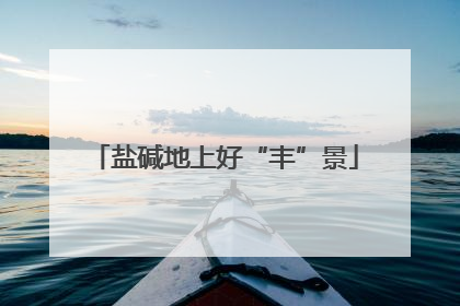 盐碱地上好“丰”景