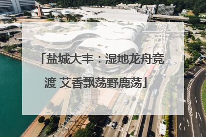 盐城大丰：湿地龙舟竞渡 艾香飘荡野鹿荡