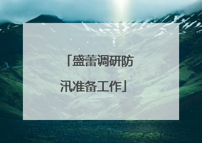 盛蕾调研防汛准备工作