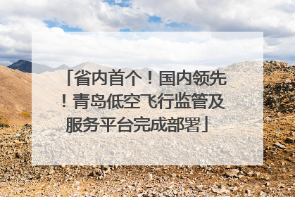 省内首个！国内领先！青岛低空飞行监管及服务平台完成部署