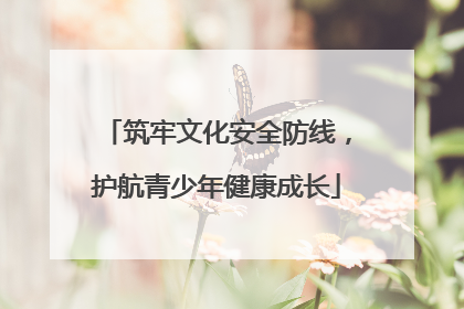 筑牢文化安全防线，护航青少年健康成长