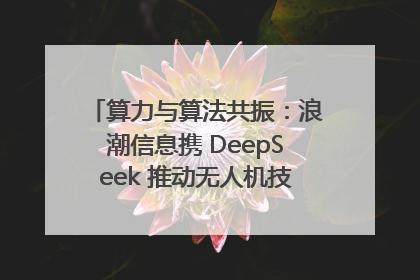 算力与算法共振：浪潮信息携 DeepSeek 推动无人机技术在舟山落地