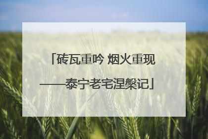 砖瓦重吟 烟火重现——泰宁老宅涅槃记