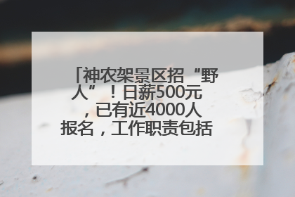 神农架景区招“野人”！日薪500元，已有近4000人报名，工作职责包括“接受游客投喂”