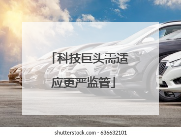科技巨头需适应更严监管
