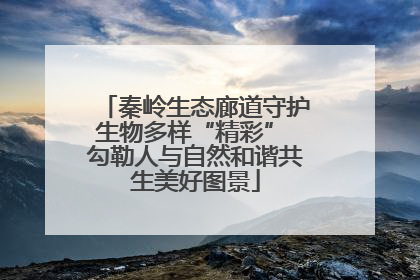 秦岭生态廊道守护生物多样“精彩” 勾勒人与自然和谐共生美好图景