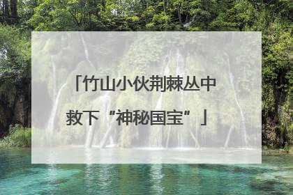 竹山小伙荆棘丛中救下“神秘国宝”