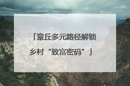 章丘多元路径解锁乡村“致富密码”