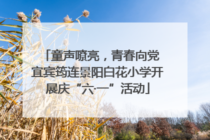 童声嘹亮，青春向党 宜宾筠连景阳白花小学开展庆“六·一”活动