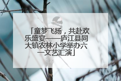 童梦飞扬，共赴欢乐盛宴——庐江县同大镇农林小学举办六一文艺汇演