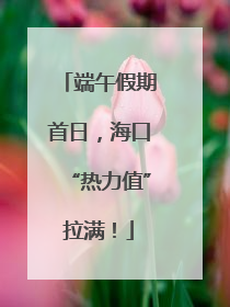 端午假期首日，海口“热力值”拉满！