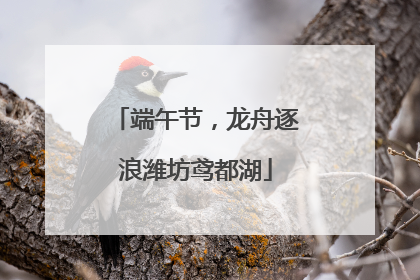 端午节，龙舟逐浪潍坊鸢都湖