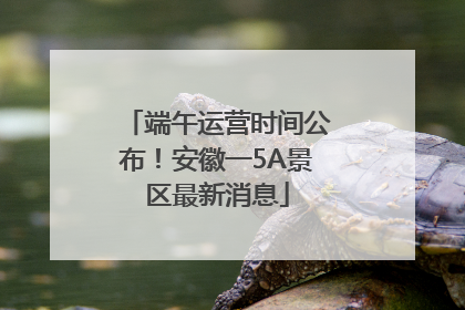 端午运营时间公布！安徽一5A景区最新消息